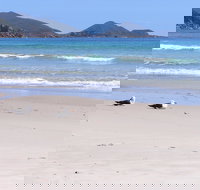 Eagles Rise Tasmania