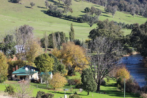 Elm Cottage Tumut - Coogee Beach Accommodation 1