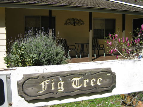 Figtree Cottage - Coogee Beach Accommodation 0