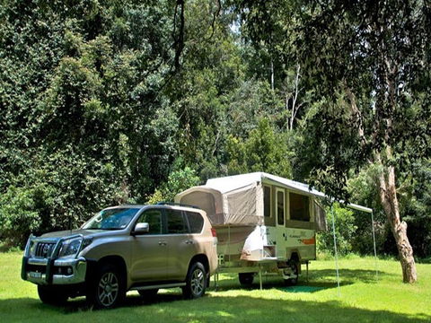 Gloucester River Campground And Picnic Area - Coogee Beach Accommodation 1