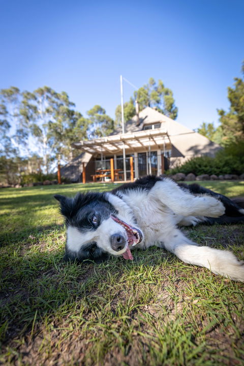 Grampians Getaway - Coogee Beach Accommodation 0