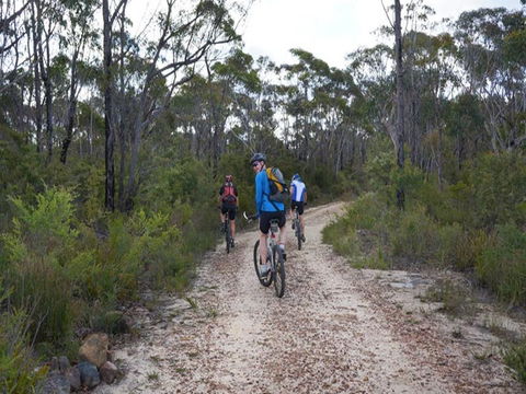 Ingar Campground - Coogee Beach Accommodation 0