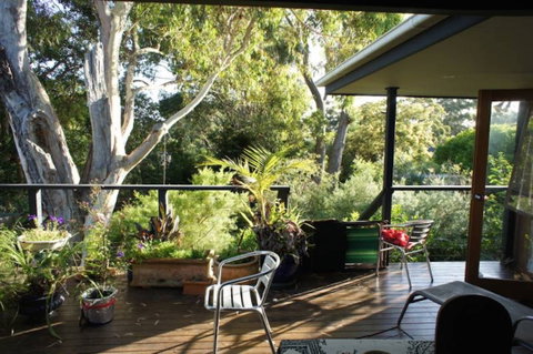 Kookaburra Dreaming - Coogee Beach Accommodation 2
