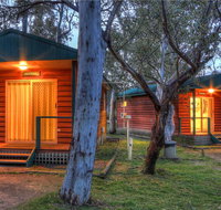Kosciuszko Tourist Park - Coogee Beach Accommodation
