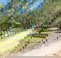 Mogo campground - Coogee Beach Accommodation