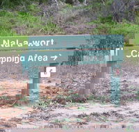 Nal-a-wort Campground - Canunda National Park - Coogee Beach Accommodation