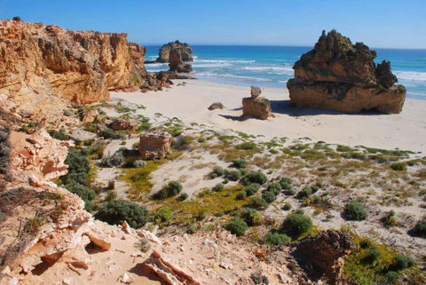 Nal-a-wort Campground - Canunda National Park - Coogee Beach Accommodation 1