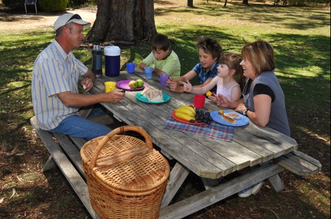 Naracoorte Caves Camping And Accomodation - Coogee Beach Accommodation 0