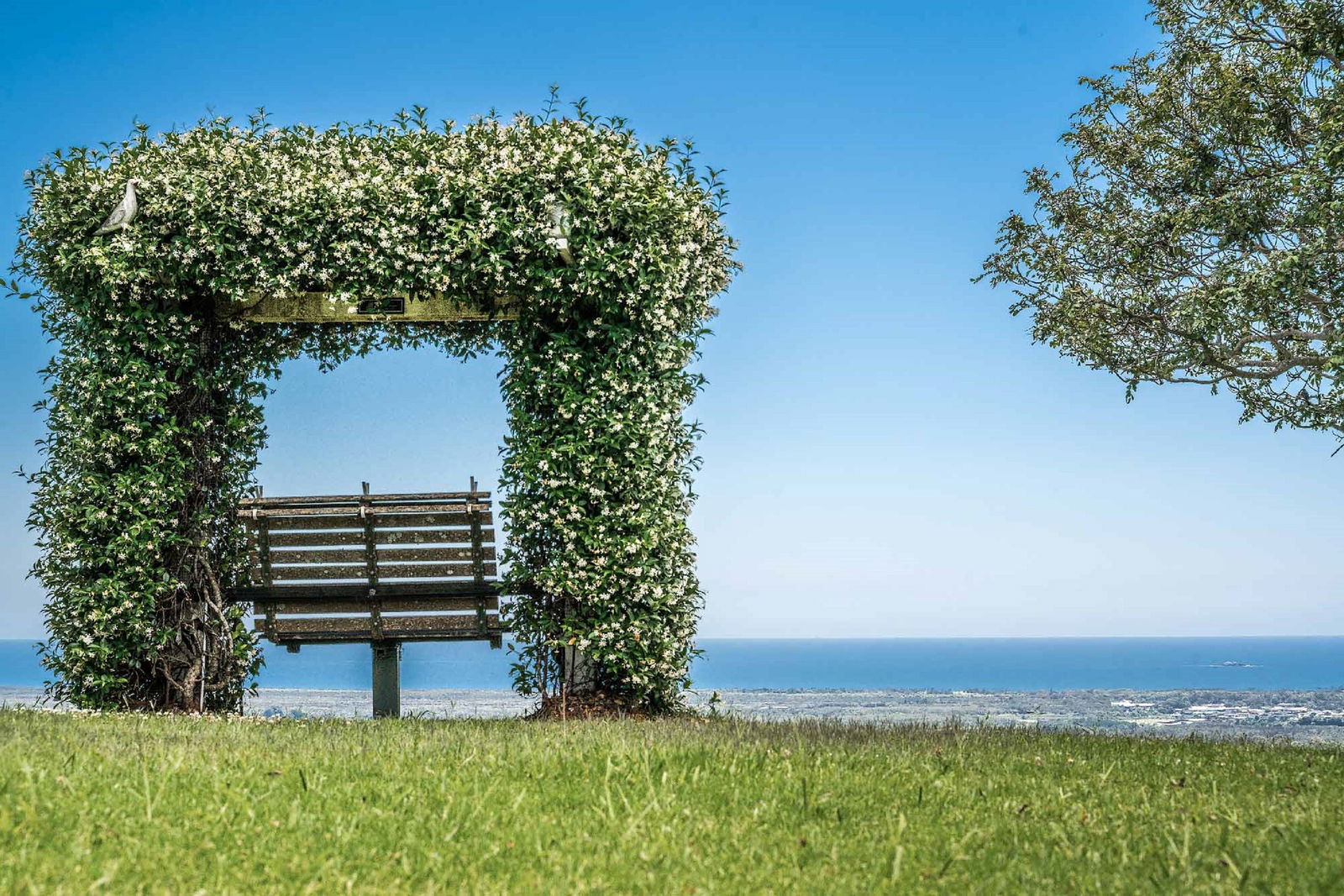 Mcleods Shoot NSW Coogee Beach Accommodation