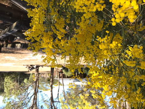 Possum's Hollow And Hooter's Hut - Coogee Beach Accommodation 1