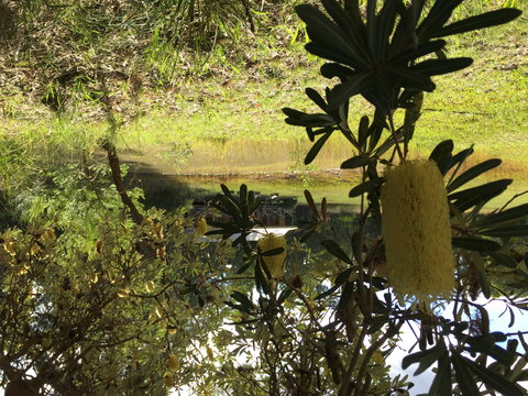 Possum's Hollow And Hooter's Hut - Coogee Beach Accommodation 2