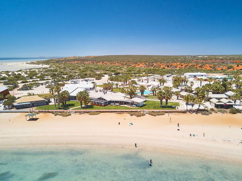 RAC Monkey Mia Dolphin Resort - Coogee Beach Accommodation 0