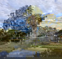Sanctuary Lakes Fauna Retreat - Coogee Beach Accommodation