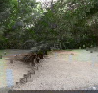 Springbrook National Park camping - Coogee Beach Accommodation
