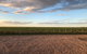 Tarnasey Farm - Pa's Place - thumb 0