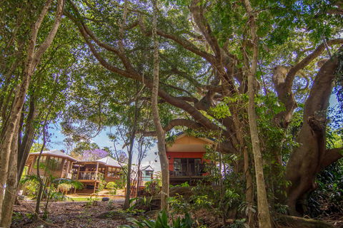 The African Village - By Clouds - Coogee Beach Accommodation 0