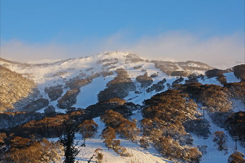 Thredbo YHA Snowy Mountains - Coogee Beach Accommodation 2