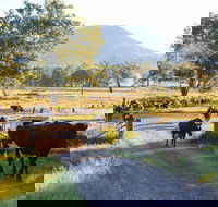 Tommerups Dairy Farmstay - Coogee Beach Accommodation