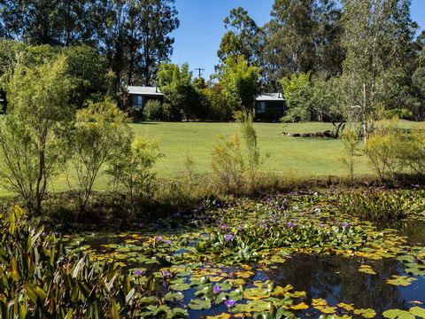 Tuckeroo Cottages And Gardens - Coogee Beach Accommodation 1