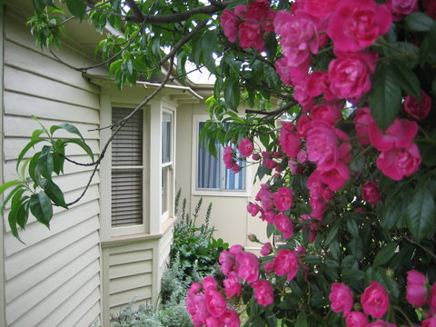 Valley Views Bed And Breakfast - Coogee Beach Accommodation 0