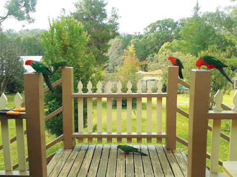 Warrumbungles Mountain Motel - Coogee Beach Accommodation 0