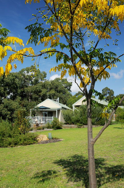 Stringybark Cottages - Coogee Beach Accommodation 2