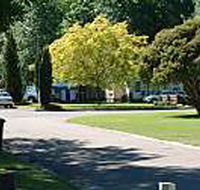 Mitchell Gardens Holiday Park - Coogee Beach Accommodation