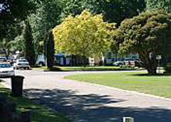 Mitchell Gardens Holiday Park - Coogee Beach Accommodation 0