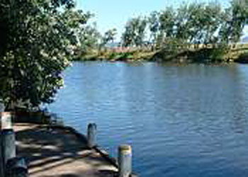 Mitchell Gardens Holiday Park - Coogee Beach Accommodation 2