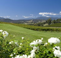 Balgownie Estate Vineyard Resort and Spa - Coogee Beach Accommodation