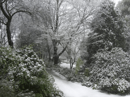 Woolrich Retreat - thumb 5