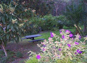 Sunway Farm B And B And Tours - Coogee Beach Accommodation 2