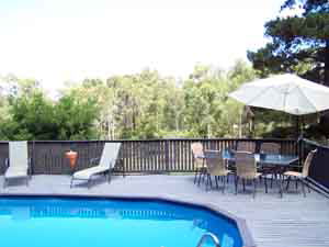 Sunway Farm B And B And Tours - Coogee Beach Accommodation 3