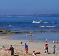 QueenscliffeTourist Park - Coogee Beach Accommodation