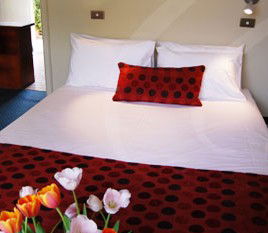 Parade Inn - Coogee Beach Accommodation 2