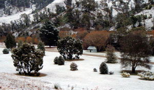 Omeo Caravan Park - Coogee Beach Accommodation 1