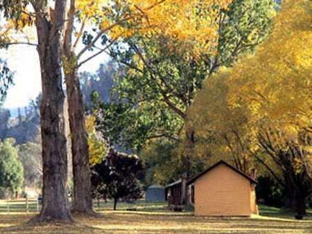Omeo Caravan Park - Coogee Beach Accommodation 4