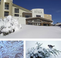 Chalet Hotham - Coogee Beach Accommodation
