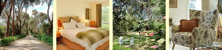 Sartains At Mornington - Coogee Beach Accommodation 1