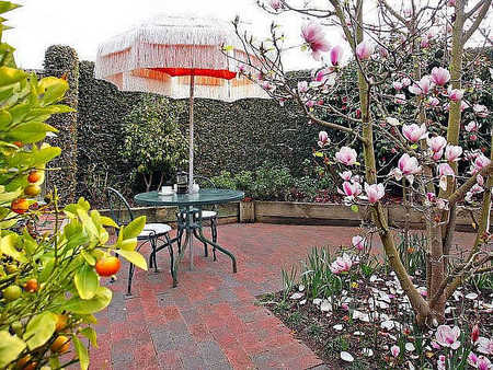 The Courtyard Mt Eliza - Coogee Beach Accommodation 3