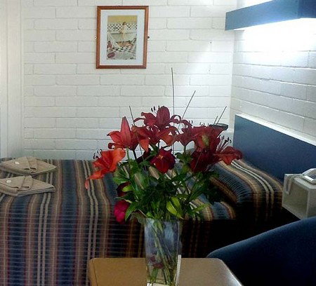 Central Highlands Motor Inn - Coogee Beach Accommodation 2