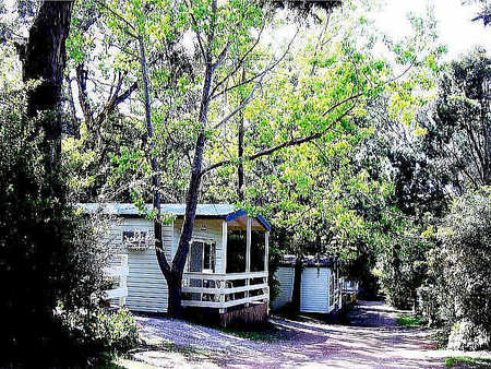 Flinders Caravan Park - Coogee Beach Accommodation 0