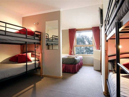 Cooroona Alpine Lodge - Coogee Beach Accommodation 3
