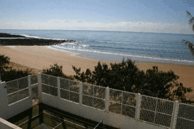 Don Pancho Beach Resort - Coogee Beach Accommodation 5