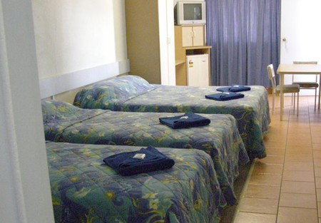 Golden Palms Motor Inn - Coogee Beach Accommodation 1