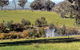 Gaddleen Grove Cottages - thumb 3