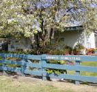 Ardwick Homestead - Coogee Beach Accommodation