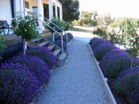 Canadian Lodge - Coogee Beach Accommodation 3