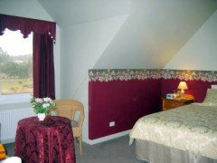 Canadian Lodge - Coogee Beach Accommodation 5