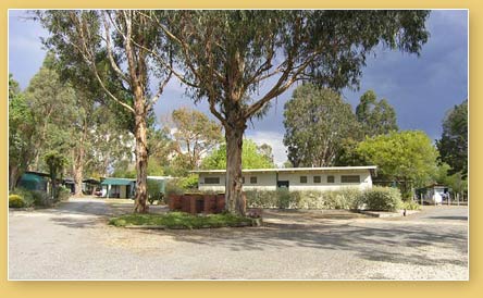 Alexandra Tourist Park - Coogee Beach Accommodation 2